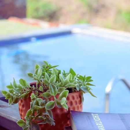 Waterrock Stays The Mango Tree Chalet Pune Exteriör bild